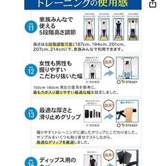STEADY ぶら下がり健康器 懸垂台の画像