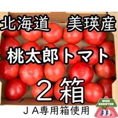 北海道美瑛産 フレッシュ&ジューシー！訳あり桃太郎トマト 
