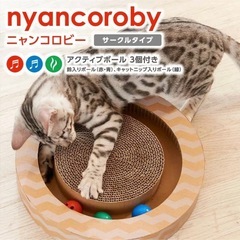 子猫　セット　爪研ぎ　おもちゃ　ペットベッド　の画像