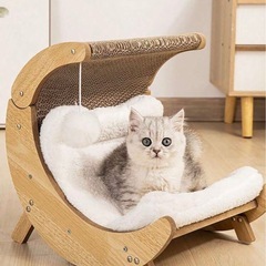 子猫　セット　爪研ぎ　おもちゃ　ペットベッド　の画像