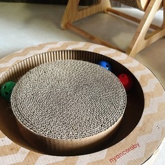 子猫　セット　爪研ぎ　おもちゃ　ペットベッド　の画像