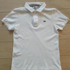 LACOSTE 白ポロシャツ