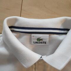 LACOSTE 白ポロシャツの画像