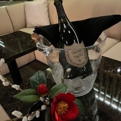 一緒におシャンパン🥂飲みに行ってくれる方募集