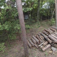 薪ストーブ用の薪、玉切りのお手伝いしていただける方募集

