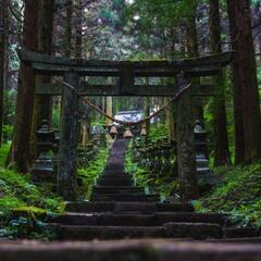 世界遺産・美しい滝・絶景興味ある人いませんか🏞️✨️ - メンバー募集