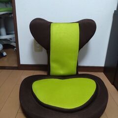 今月限定出品✰リクライニング座椅子　茶×緑