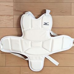 空手プロテクタセット　習い事　小学生