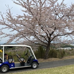 ゴルフ仲間募集します。