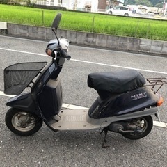 ヤマハ　ミント　50