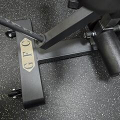 GFC自立型Legstrengthの画像