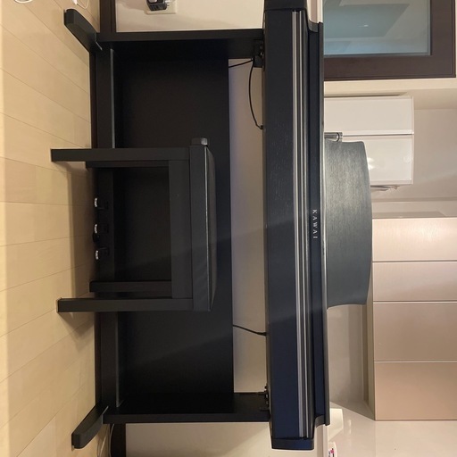 ジャングルジャングル堺初芝店】 アイバニーズ エレキアコースティック