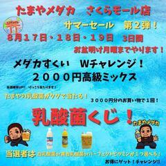 サマーセール　3日間開催！