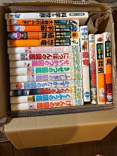 NEO  図鑑まとめ売り