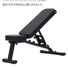 リーディングエッジ トレーニングベンチ マルチポジション の画像
