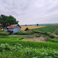 何かしらの土地開発