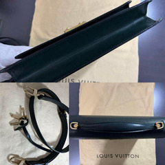 【美品レア】LOUIS VUITTON ルイヴィトン タイガモンソースペシャルオーダー セカンドバックの画像