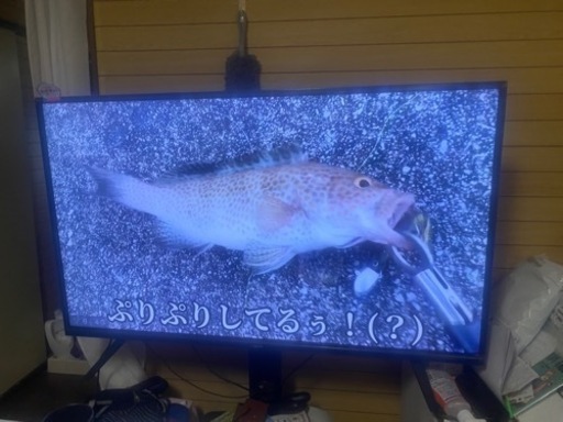テレビ