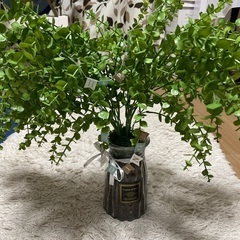 ウエディング　メッセージツリー　観葉植物