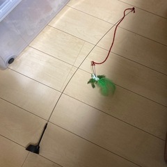 猫のおもちゃ