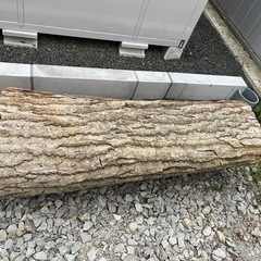 丸太　　木材　ウッドベンチ