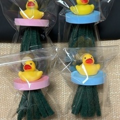 🏮お盆ラストセール🏮めだか無人販売　1000円均一　8月17日・18日　ダルマ - その他