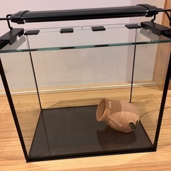 屋内観賞魚飼育水槽　GEX製　アクアリスタ　グラステリア水槽 