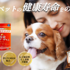 ペットの健康寿命を伸ばすサプリ　「ペッタム　寿命のびーる」70ｇの画像