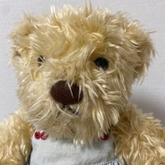 クマ　ぬいぐるみの画像