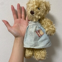 クマ　ぬいぐるみの画像