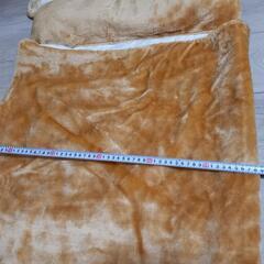 レア  ねぶくろの画像