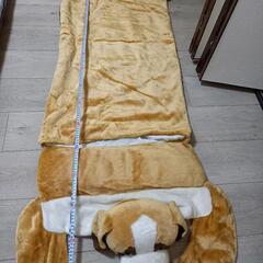 レア  ねぶくろの画像