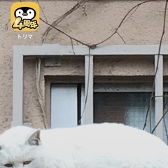アプリのデータ移行とログインの画像