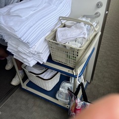遊漁船操船、ホテル業務兼業(どちらか1業務でも大丈夫です)の画像