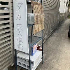 めだか無人販売✨土日SALE✨種類増やしました✨