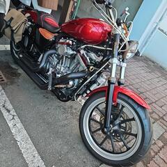 ハーレーダビットソン883の画像