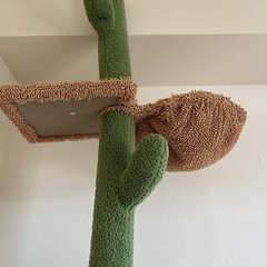 キャットタワーの画像