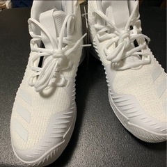 adidasバスケットシューズ