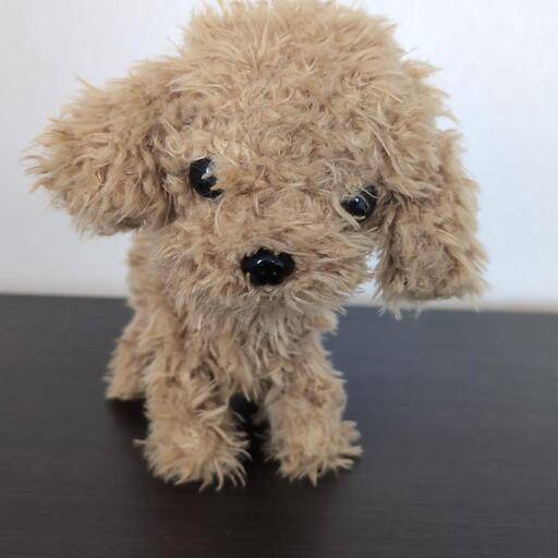 中古　おしゃべりロボット犬　トイプードル　おまけ付き