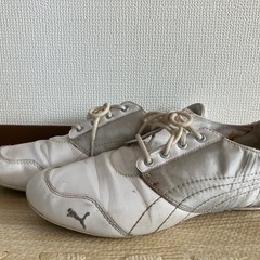 プーマ　スニーカー　25センチ