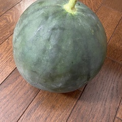 スイカ　すいか