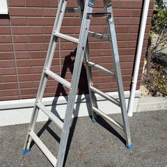 【確定】脚立　約150cm　