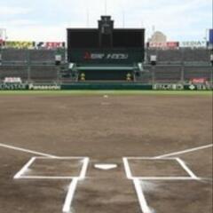 熱闘甲子園観てる人〜
