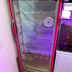 オオクワガタ 飼育用のワインセラー&電子サーモ