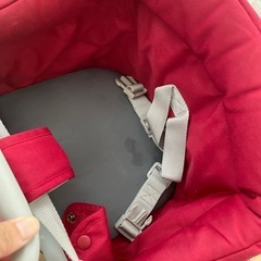 （値下げ）イングリッシーナの画像