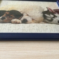 額縁＋パズル 完成品  B160の画像