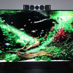 ♪　75インチ Panasonic VIERA ４K 液晶TV ...