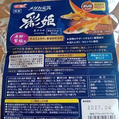 メダカ元気　彩姫　産卵.繁殖用の画像