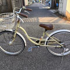 22インチジュニア自転車