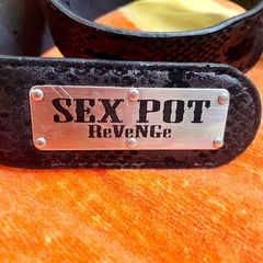 【初期ベルト】SEX POT ReVeNGe【中古】